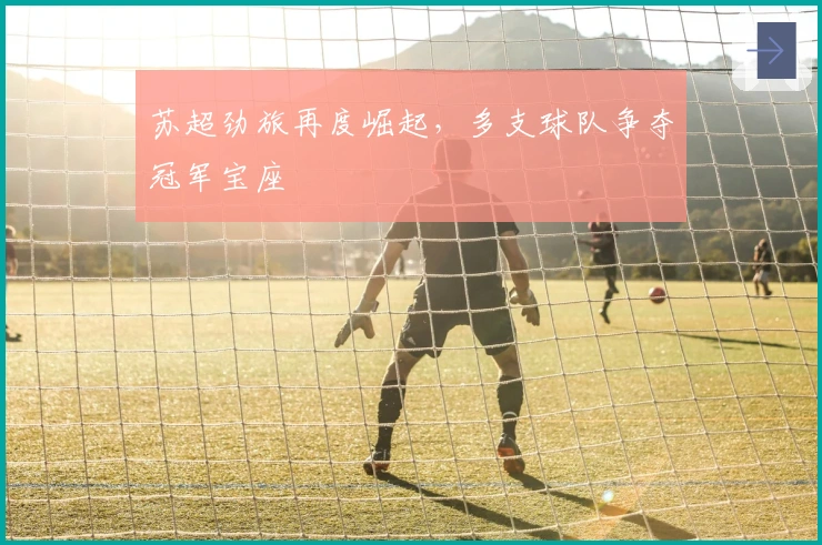 苏超劲旅再度崛起，多支球队争夺冠军宝座